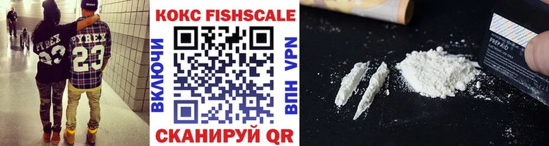 Купить закладки  Борзя  Кокаин FishScale 