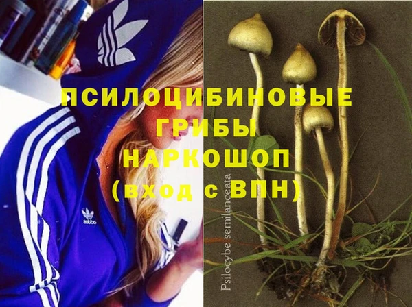 гидра Козловка