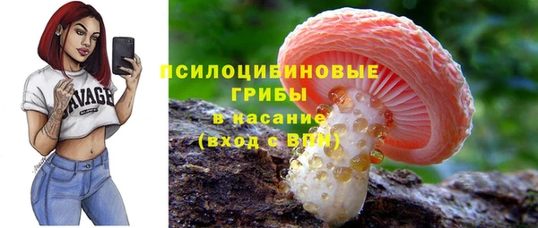 гидра Козловка