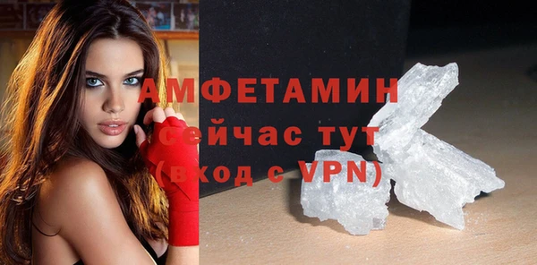 гидра Козловка