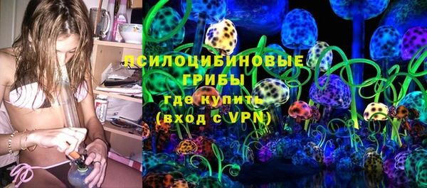 гидра Козловка