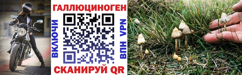 Галлюциногенные грибы мицелий  Купить  Борзя 